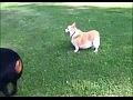 ��������� ��� ������� ����������