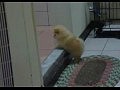 ������� ����� �� ����� ���������� ���������