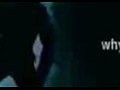 ���������� ������� �������� NIKE: ��� �������� �� �������