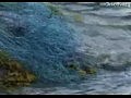 ������ ������ ����� ����� 4 ����� 1 ����� 5 ������