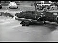 Ryan Dunn - �������� Jackass (1977-2011)