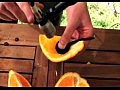 ������� �� ������ � ������������ �����
