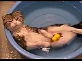 ����� ��������� �����