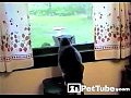 ����� � �������