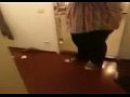 �� ��������� ������� ����