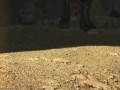 3 ����� ��������