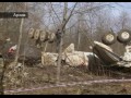������ ������ ������ ����� ������� ������� ������