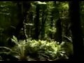 ANDRIANO-THE EARTH mpg
