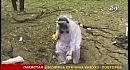 ��������� �������� ������� � ���������