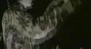 Beatles - A day in the Life  Good Quality