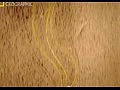 National Geographic ������ ��������� / Big Bigger Biggest  2 ����� 1 ����� ������� / Tunnel
