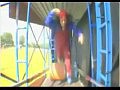 Donkey Kong � �����