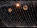 ��������� �������� - ̳��� � ������