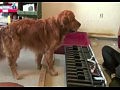 ��� � ����������� ������