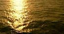 BBC. ���� ������� / BBC. Wild Weather 4 ����� (����/Heat)