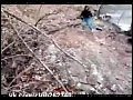 ��������� ����� �� �����