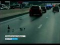 ���� � ������� ��������� ����