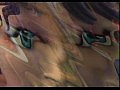 ������ ���� (������������ ������) / Tripping the Rift 2 ����� 13 �����