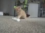 ������� � ������ �����