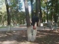 ������ ���������