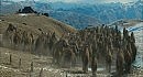 10 000 ��� �� �.�. / 10,000 B.C. (2008) DVDRip