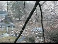 ������ � ������ - ����� ��������