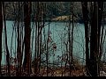 Norah Jones - Happy Pills