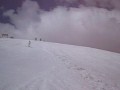 Lion rides at Dragobrat