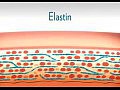 Nu Skin ��������� Tru Face Essencce Ultra