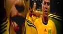 ������� �����������. ������������ ���� ���������� � ������ ��