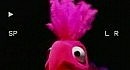 scissor sisters - take your mamma out