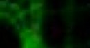 Crazy Frog - Axel F. Video.mpg