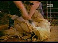 ���������: ��� ��� ��������? / Discovery: How its made?����� 4 ����� 13 (�������, ����� � �����, ������������� ���������, ������)