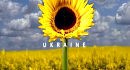 Welcome to Ukraine
