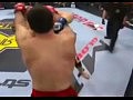 ������ ��������� - ������ ��������