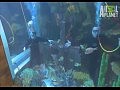 Animal Planet: �������� ��������