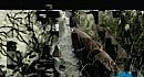 As I Lay Dying - The Darkest Nights