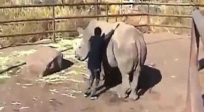 ����� �� ��������