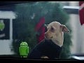 ���������� ���������� �� Android