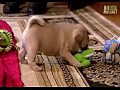 ����� ���� ������ �����