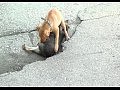 ��������� ������� � ������������ ��������