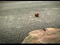 ��������� �������