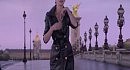 ���������������� ������� ������� Parisienne YSL
