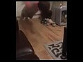 ��������� � ������� ���� �� ��� ����� �����