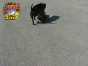 ������ �� ������