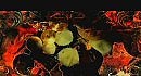 DevilDriver - Not All Who Wander Are Lost