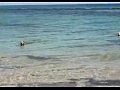 ������, ���������� �����, ����� ������� YouTube