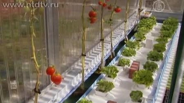 Курс валют в хмельницком