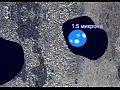 ��� �� ������������� ������������