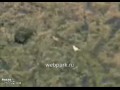 Fuck Planet Earth LOL